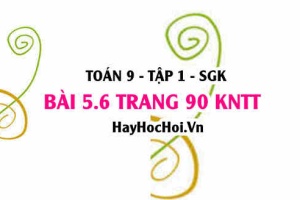 Bài 5.6 Toán 9 tập 1 SGK Kết nối tri thức